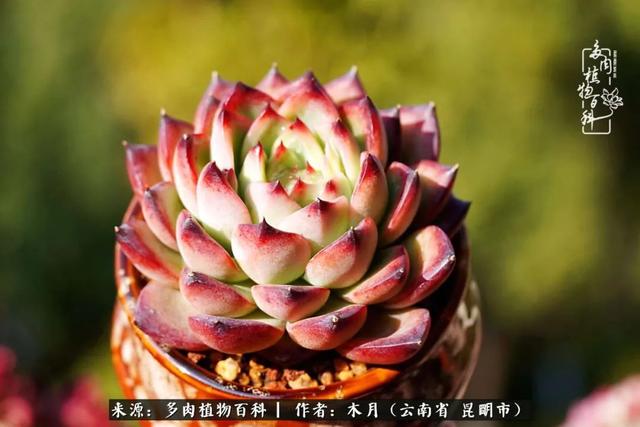 安康石英砂洗砂机厂家电话