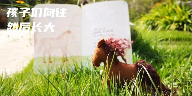 一个关于“幼儿打架游戏”家园沟通的范例，欢迎大家提出看法