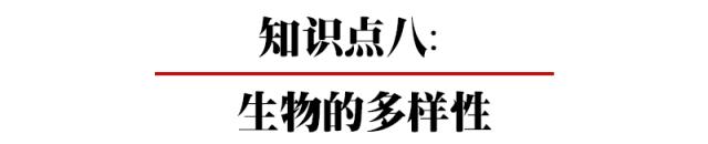 初中各科思维导图全汇总（语文、数学、地理、历史、化学、生物）