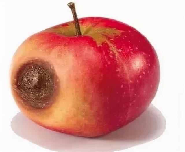 发霉的食物,去掉坏的部分就能吃吗?听听医生怎么说