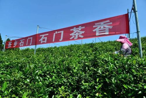 常德特产