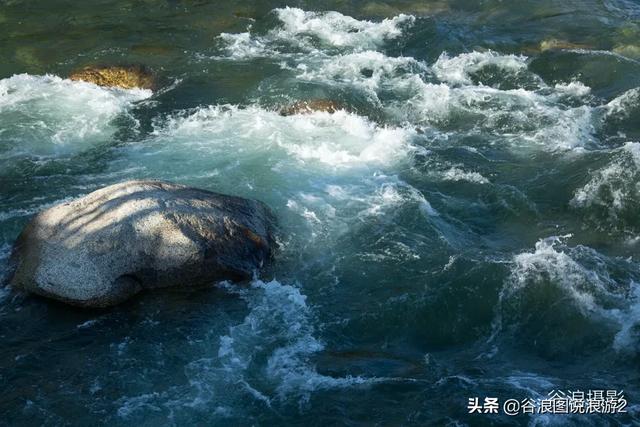 油擦 油擦（颈椎病用精油擦） 生活