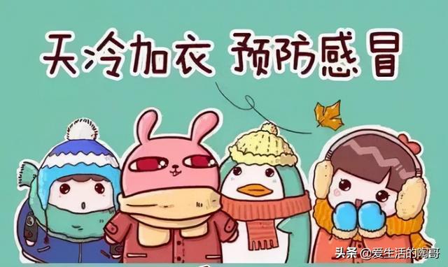 霜降到，吃3菜，饮2水，食1肉，做1事，顺应时节，安稳进入寒冬季