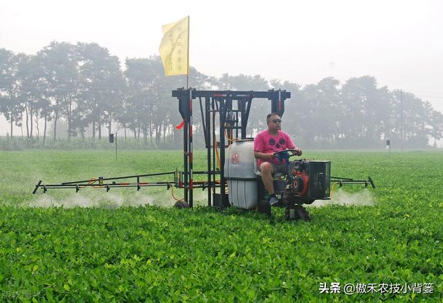 作物旺长后打药控旺时，控旺药物能和叶面肥一起混配使用吗？6