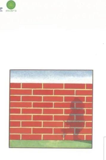 别人攻击你，你该怎么办？