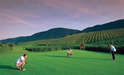 球速最快的球类运动排名（哪种球的速度最快）