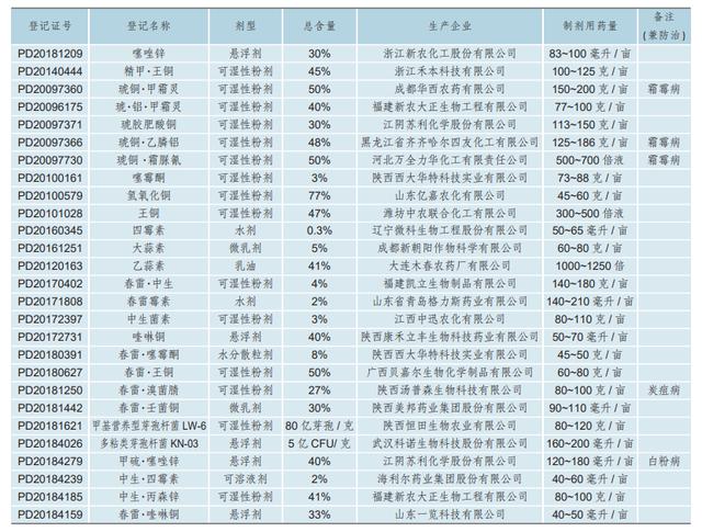 以菌治菌！多粘类芽孢杆菌，比铜制剂强？黄瓜细菌性角斑病无处逃3