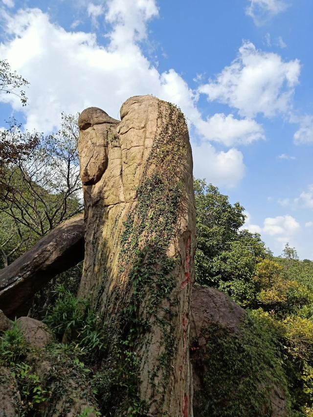 带宝宝爬天平山