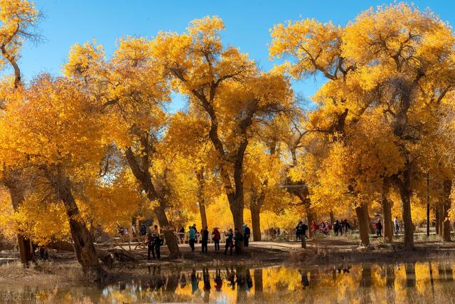 祖宗园景区临汾裘芸风景区晋城皇城相府生态文化旅游园区大同市云冈