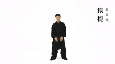 养生气功五禽戏教学（仙家秘传五禽戏：健康长寿）