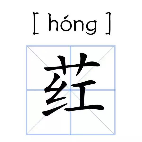 深圳工程籶械展