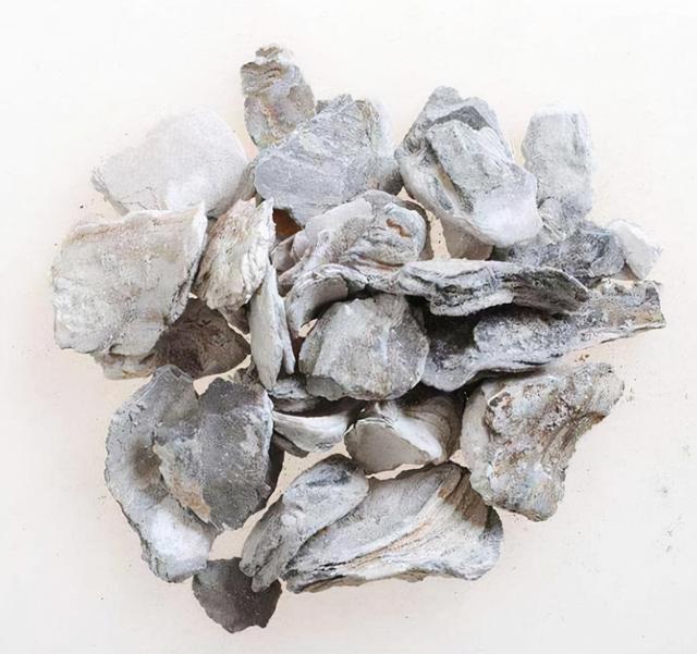 那些中药中常用的固涩止汗药方