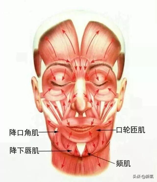 玛格丽提利尔:不在容颜最盛时却意外红遍全球的她，拥有怎样的变色龙式美貌？