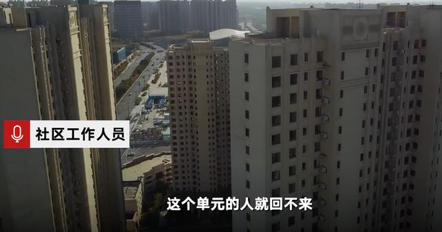 哈尔滨三只猫阳性被安乐死，你怎么看？