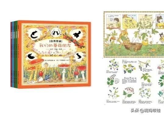 宝宝的绘本，按年龄分类，这些值得买？