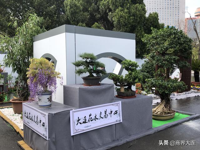 大连工程材料展