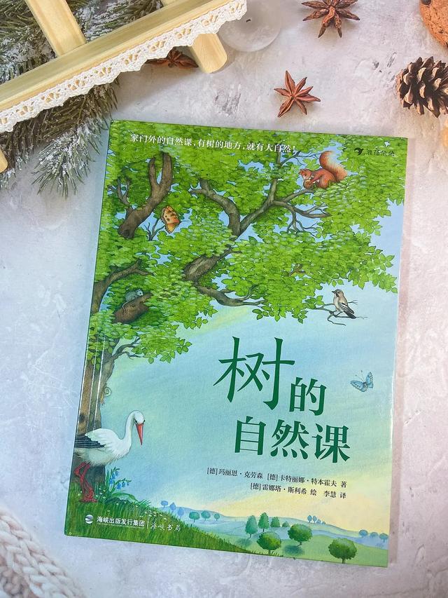 桦树叶治疗脚臭？椴树花茶能治感冒？这本自然科普绘本简直太棒了