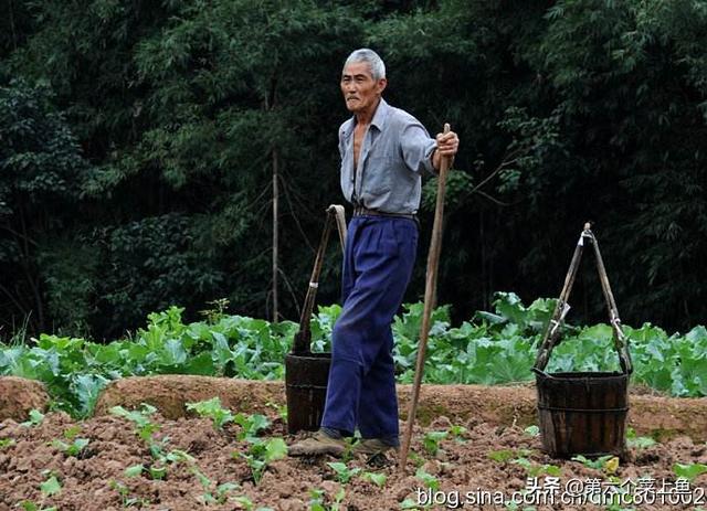 老李头的家常事「老李头货站」