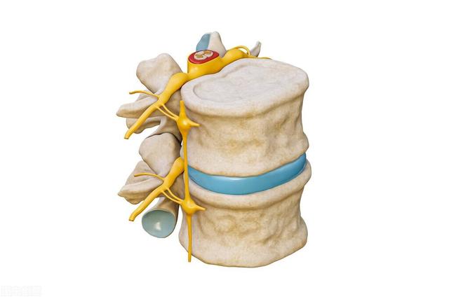 解读身体衰老的真相，让老年人享有健康幸福晚年