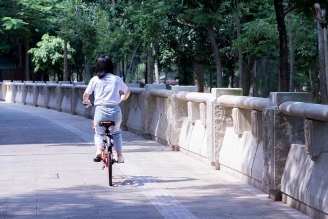 深圳居然私藏了这么多绿道，一个比一个美