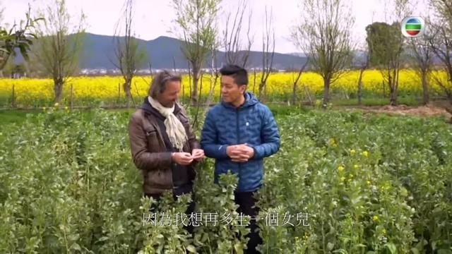 神级港普！TVB力捧小生用港普访问法籍大厨 网民：更胜郑伊健