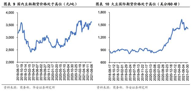 点金龙鱼