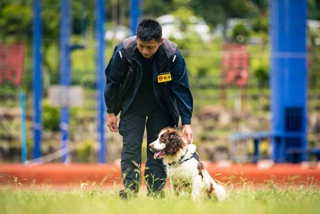 德国防暴犬