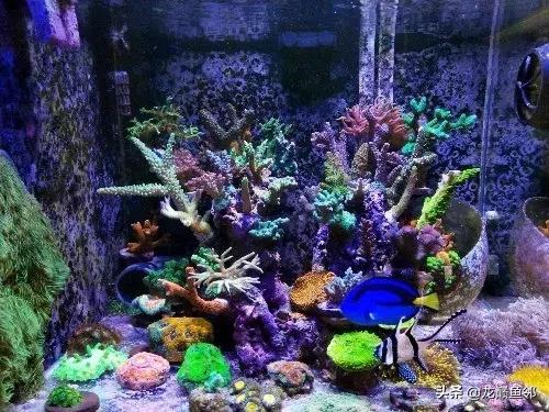 海缸水族过滤机