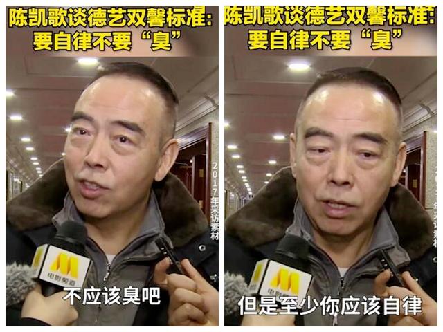 陈凯歌解读德艺双馨 在艺术和品德上都芳香很难 至少不应该臭吧 太阳信息网