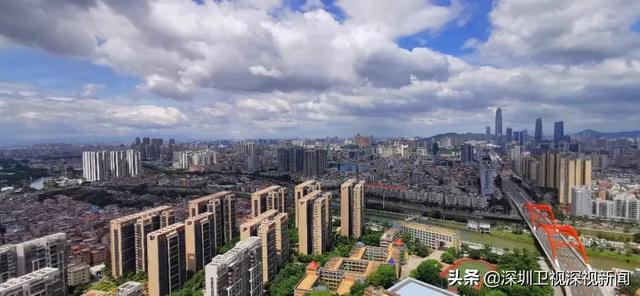 “5折买房”来了？东莞放出这一大招，有何意义？