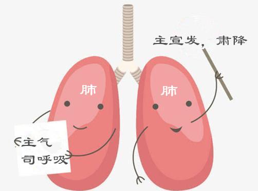 感冒了吃西药好还是吃中药好？感冒药吃对了吗？