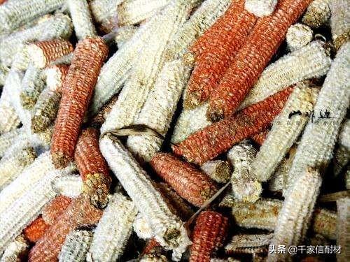 海绵体破碎机刀片什么钢_老式粉碎机刀片安装图