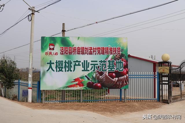 亮星展旗强堡垒党建工程