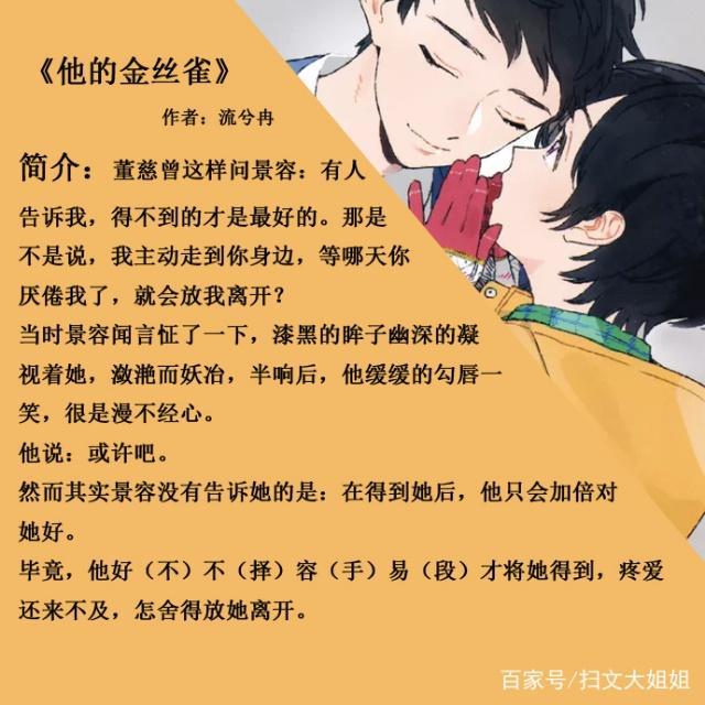 2.《他的金丝雀》作者:流兮冉