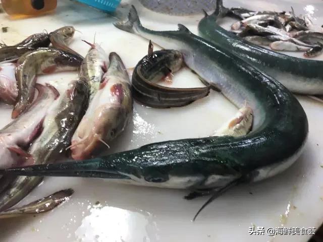 海鲜种类