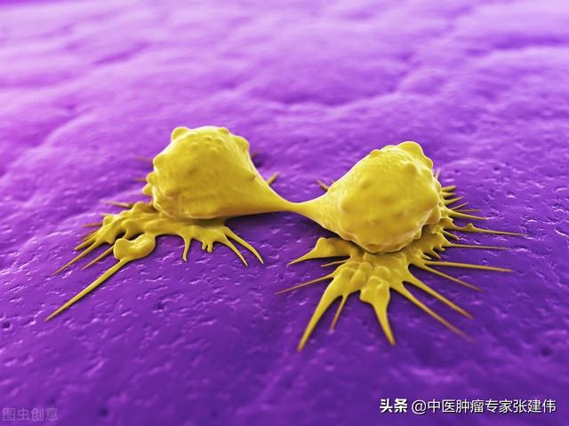 癌細胞為什么餓不死？腫瘤醫生告訴你防癌抗癌怎么吃