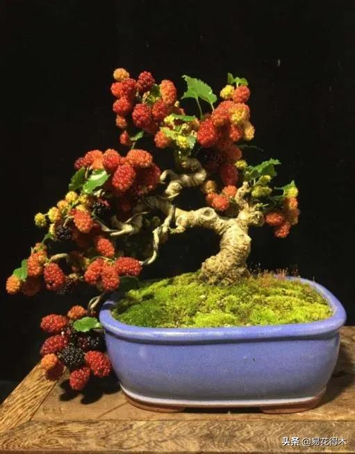亳州干式洗砂机哪家好