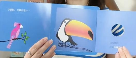 6套比玩具都好玩的绘本，设计新颖脑洞大开，亲子共读超欢乐