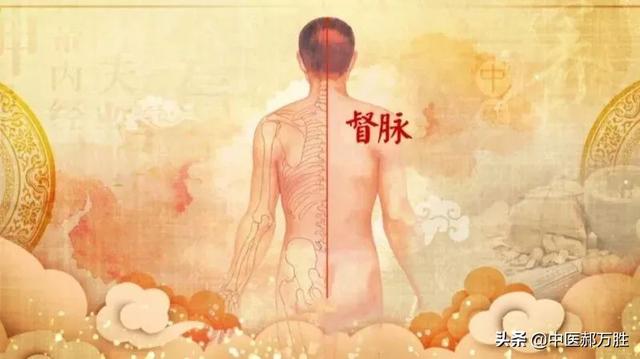 作用媲美“救心丸”的强心穴位—至阳穴