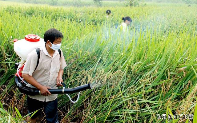 农民都想知道，卖一袋化肥到底能赚多少钱？化肥销售这样回答