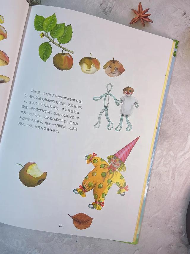 桦树叶治疗脚臭？椴树花茶能治感冒？这本自然科普绘本简直太棒了