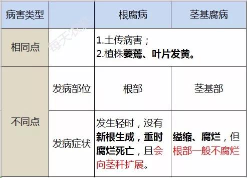 根部病害一定要看，看完就知道你遇到的是不是了4