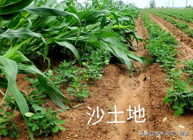 地里倒伏秸秆破碎机