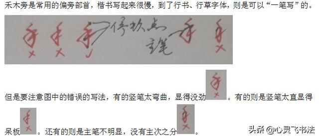 金字旁的字有哪些字