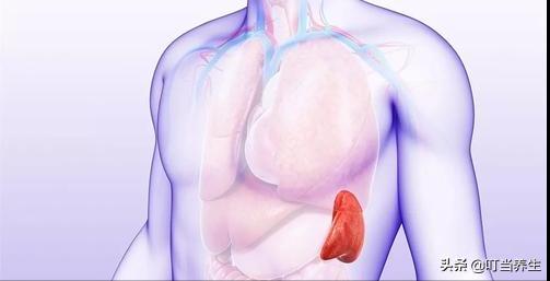 您的心脏怎么样？中医陪你了解自己的心脏