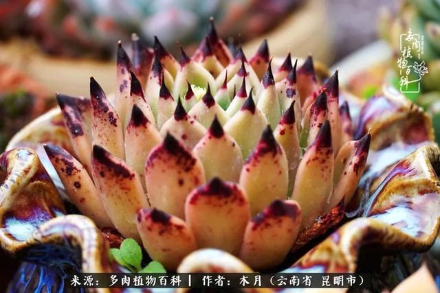 安康石英砂洗砂机厂家电话