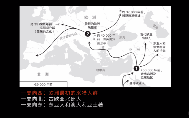 拉萨卧式过滤机