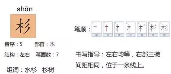 银杏水杉活化石是什么意思