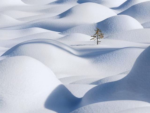 下雪圖片冬天下雪圖片