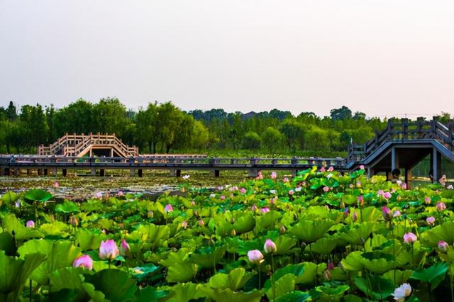 仙山湖